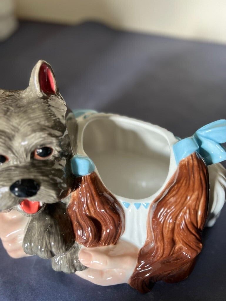 The Wizard of Oz Cookie jar Dorothy & Toto 1999 Warner Bros In Box Never Used